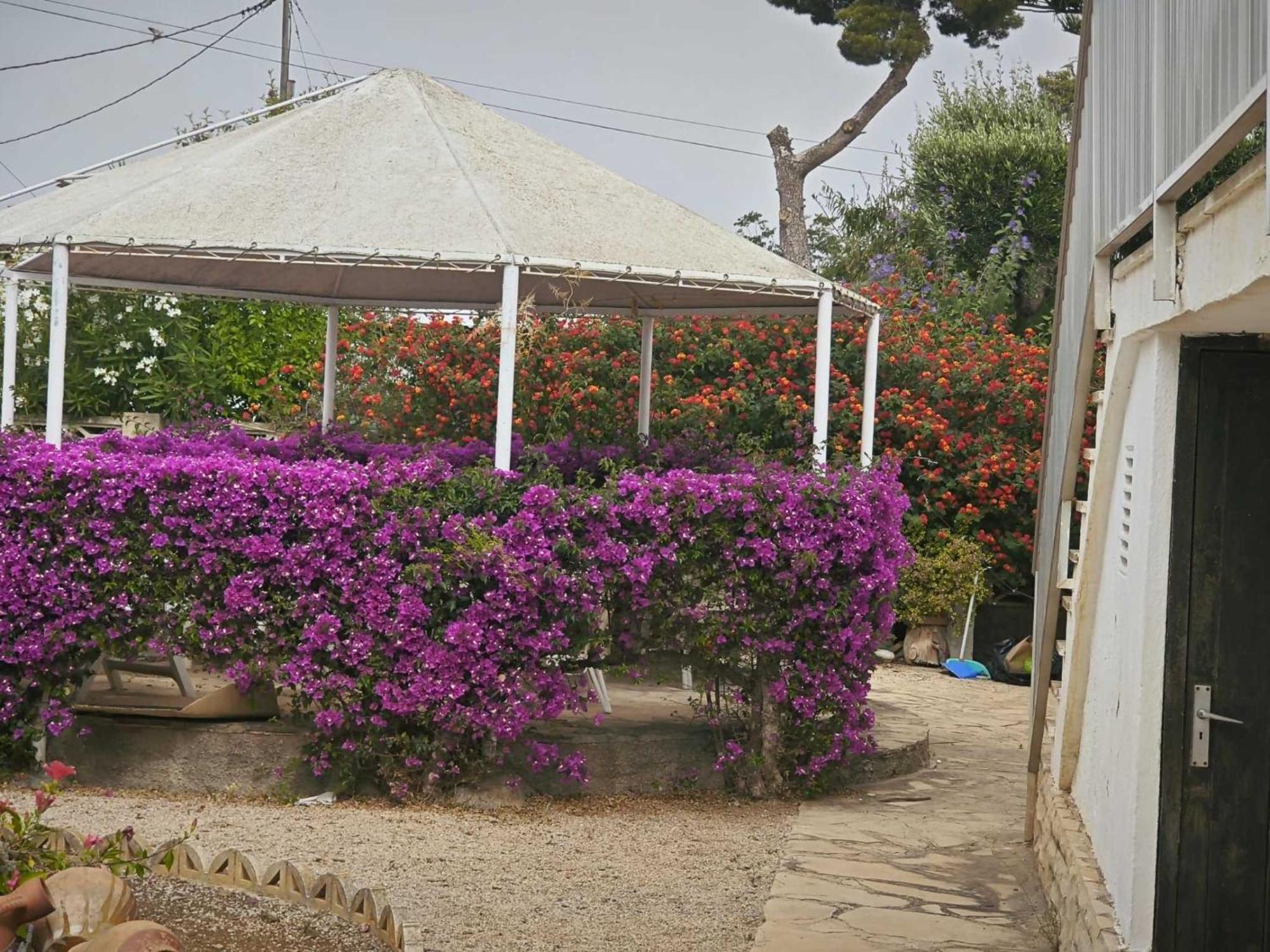 Casa Geminis Vinaros 아파트 외부 사진